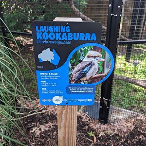 FIXED Kookaburra signage