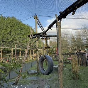 Lemur Walkthrough Enclosure at Ponderosa Zoo (January 2024)