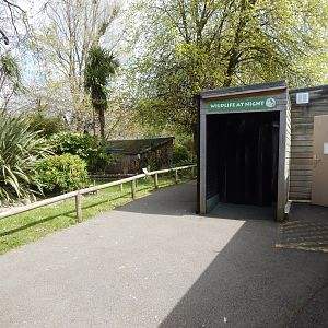 View towards Wildlife at Night exhibits 240424