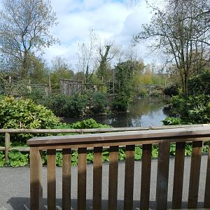 View towards Black and white ruffed lemur island 240424