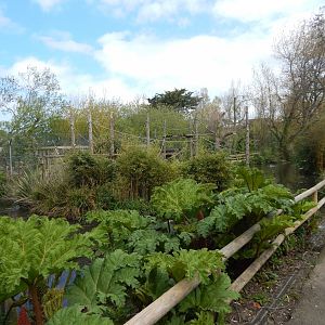 View towards Ring-tailed lemur island 240424