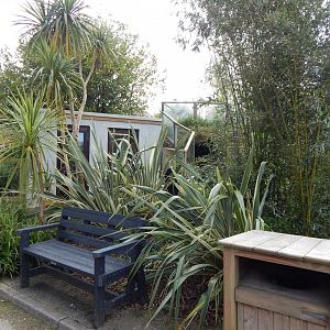 View towards Yellow mongoose exhibit and Red panda exhibit 240424