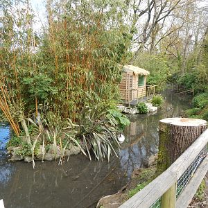 View towards Silvery marmoset exhibit 240424