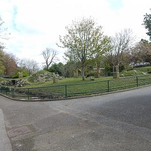 Visayan spotted deer exhibit 240424