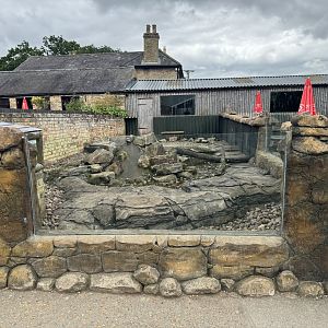 Asian Small-clawed Otter Enclosure at Woodside Wildlife Park (May 2024)