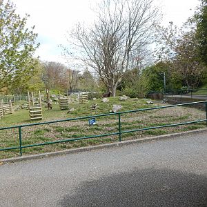 Visayan spotted deer exhibit 240424