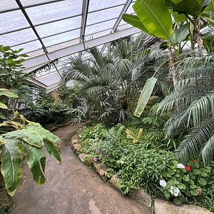 Tropical House Interior at Woodside Wildlife Park (May 2024)