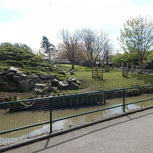 Visayan spotted deer exhibit 240424