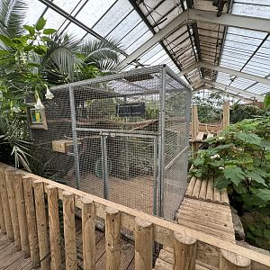 Tropical House at Woodside Wildlife Park (May 2024)