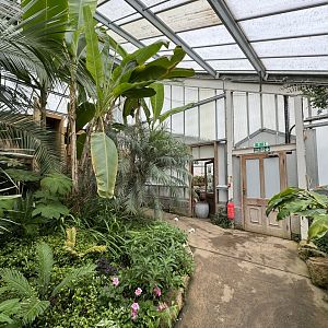 Tropical House at Woodside Wildlife Park (May 2024)