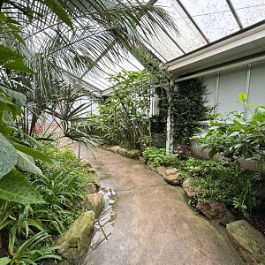 Tropical House at Woodside Wildlife Park (May 2024)