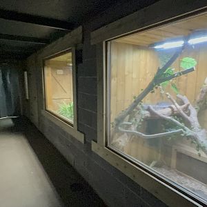 Reptile Enclosures in the Tropical House at Woodside Wildlife Park (May 2024)
