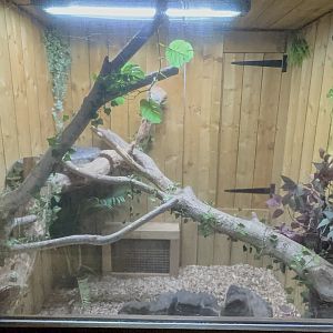 Carpet Python Enclosure at Woodside Wildlife Park (May 2024)