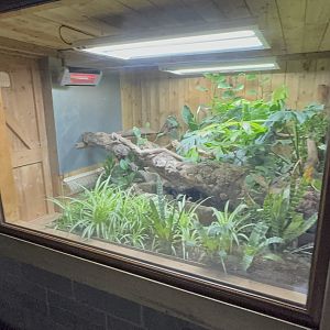 Australian Water Dragon Enclosure at Woodside Wildlife Park (May 2024)