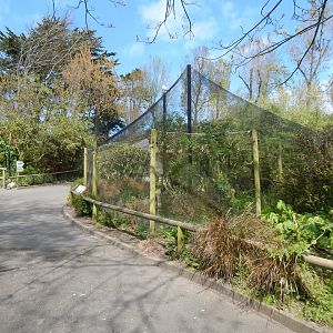 African Wetland Aviary 240424