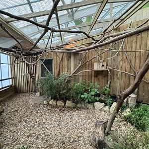 Geoffrey's Marmoset / Linnaeus's Two-Toed Sloth Enclosure at Woodside Wildlife Park (May 2024)