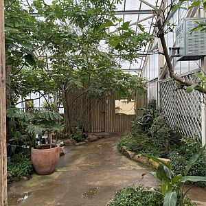 Tropical House at Woodside Wildlife Park (May 2024)