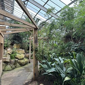 Tropical House at Woodside Wildlife Park (May 2024)
