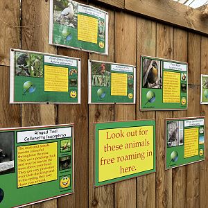 Tropical House Birds Signage at Woodside Wildlife Park (May 2024)