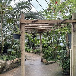 Tropical House at Woodside Wildlife Park (May 2024)