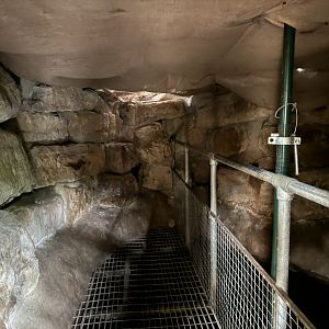 Bat Cave Interior at Woodside Wildlife Park (May 2024)
