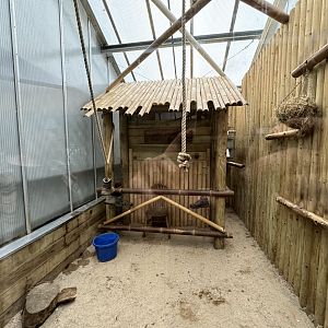 Ring-tailed Lemur Indoor Enclosure at Woodside Wildlife Park (May 2024)