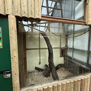Red Ruffed Lemur Indoor Enclosure at Woodside Wildlife Park (May 2024)