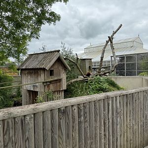 Red Panda Enclosure at Woodside Wildlife Park (May 2024)