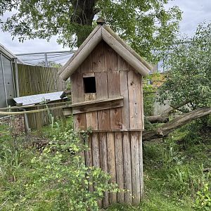 Red Panda Shelter at Woodside Wildlife Park (May 2024)