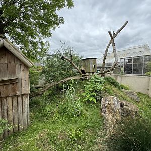 Red Panda Enclosure at Woodside Wildlife Park (May 2024)