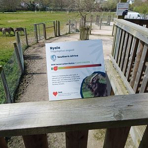 African Savannah Exhibit 240424