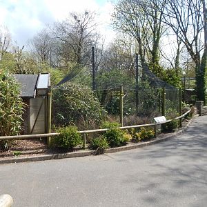 African Wetland Aviary 240424