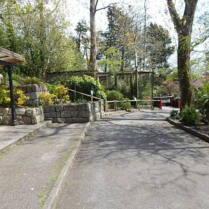 View towards Songbird Aviary 240424