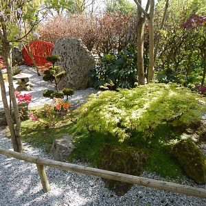 Oriental Garden 240424