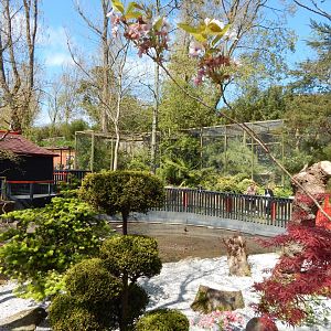 Oriental Garden and Exhibits 240424