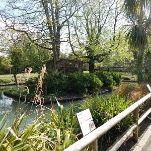 View towards exhibit for Pygmy marmosets/Red titi 240424
