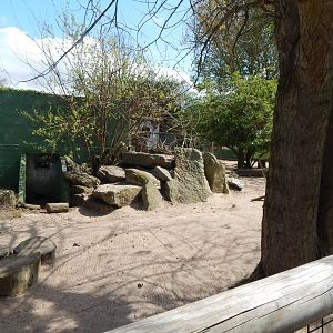 Dusky pademelon and Parma wallaby exhibit 240424