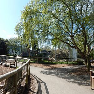 View towards Carpathian lynx exhibit 240424