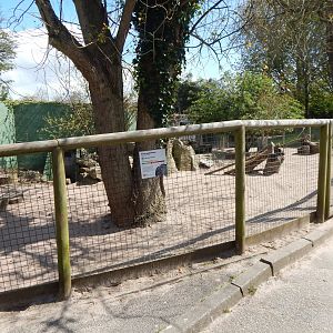 Dusky pademelon and Parma wallaby exhibit 240424