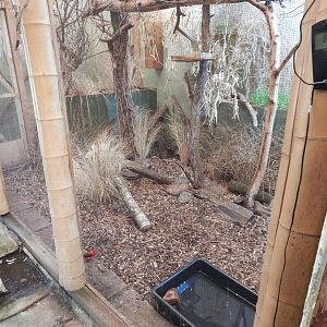 Side aviary in top floor of Tropical House 240424