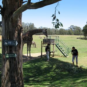 Savannah Paddock (2010)
