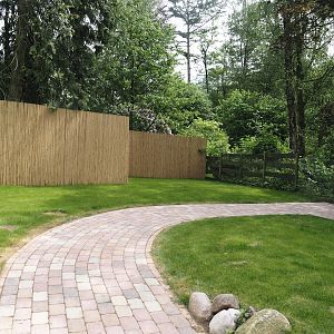 Future wallaby walk-through area near Welli-Paradies (Budgerigar aviary), 2024-05-21