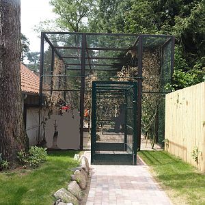 Welli-Paradies (Budgerigar walk-through and feeding aviary), 2024-05-21