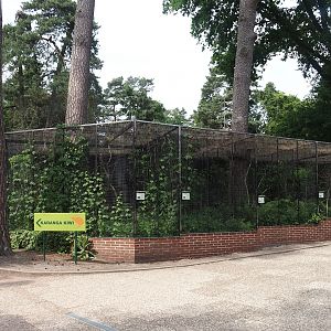 Australasian aviary block and road to kiwi house, 2024-05-21