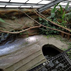Enclosure for Gharial (Gavialis gangeticus) - Masaguaral hall
