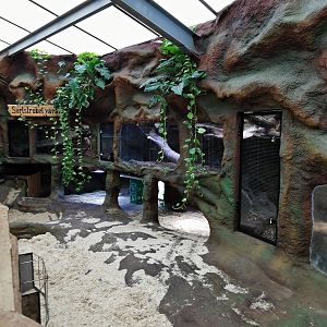 Galapagos tortoise indoors and monitor exhibit - Masaguaral hall