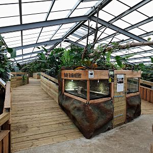 Exhibits for baby Crocodilia - Masaguaral hall