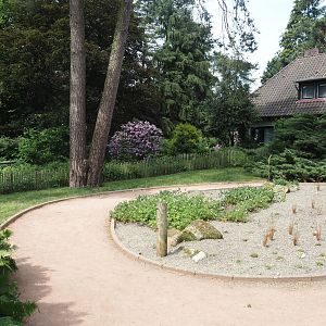 Road to the kiwi house, 2024-05-21