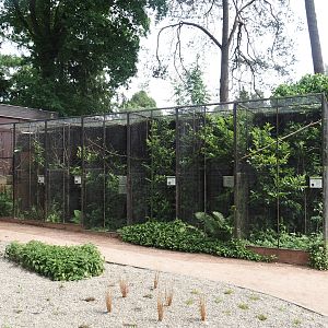 Lorikeet and small parrot aviaries near the kiwi house, 2024-05-21