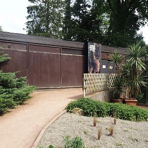 Kiwi house, 2024-05-21